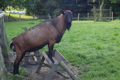 Killikus&reg; Fotographie